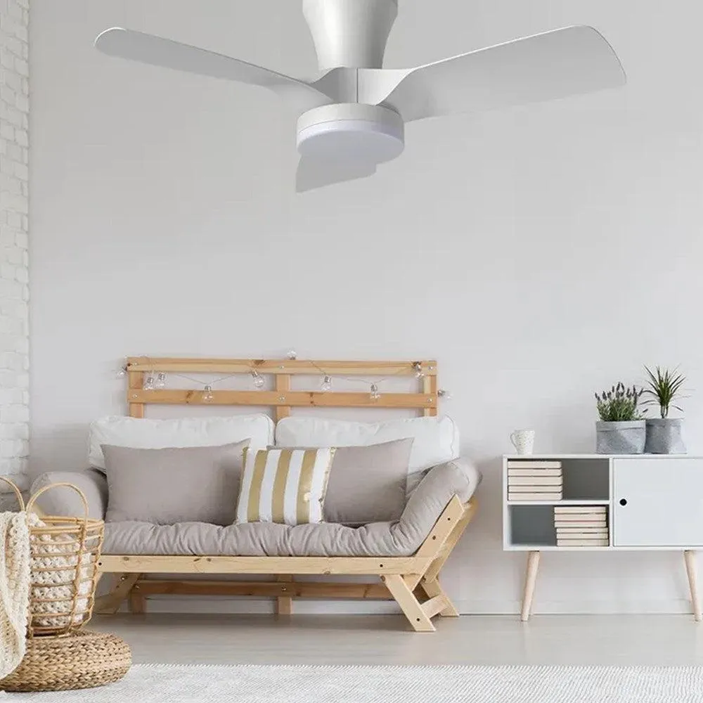 32" Kiwi Dc Ceiling Fan White, Black With Light 5507062, 5507063 Vencha Lighting