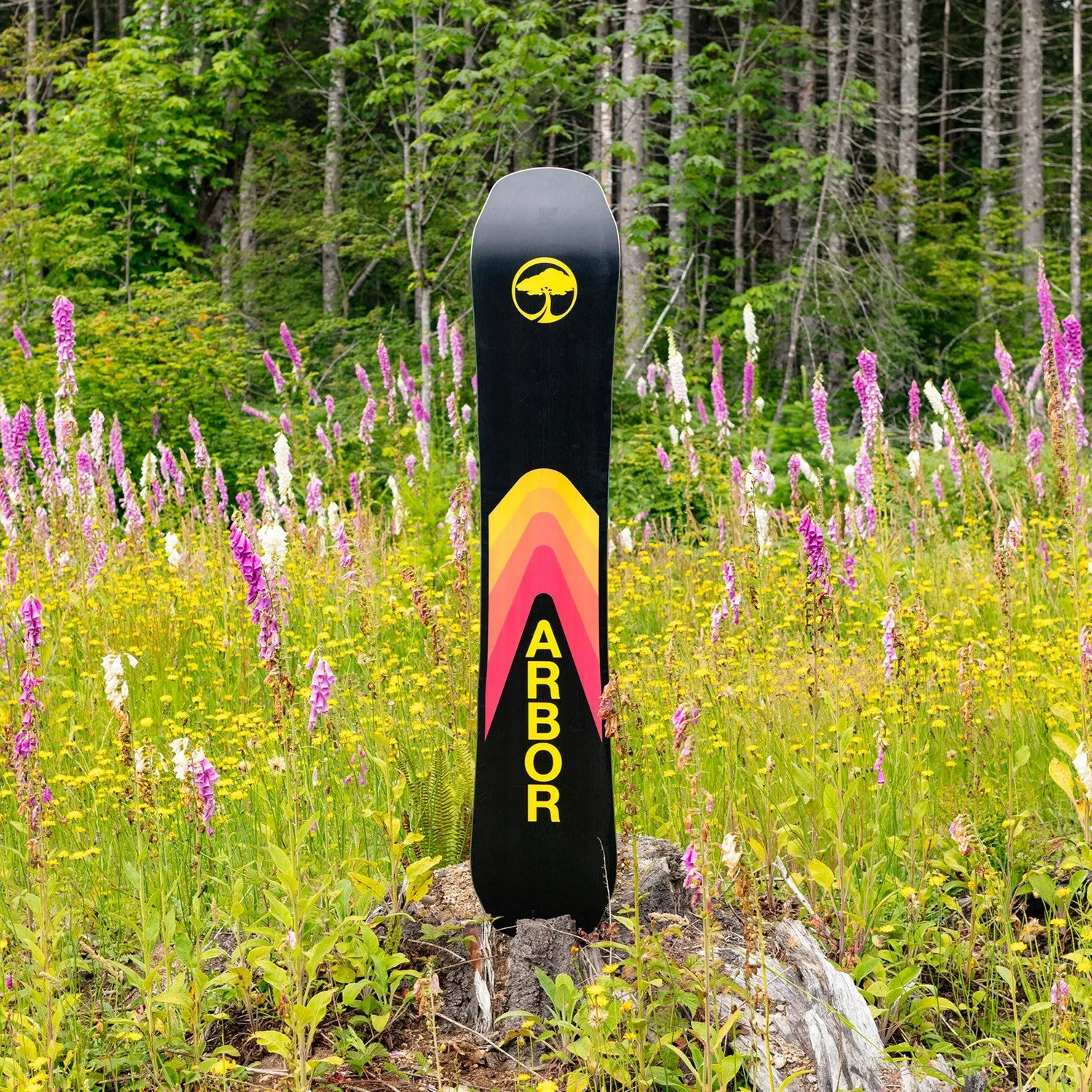 Arbor Shiloh Rocker 2024 - Men's Snowboard