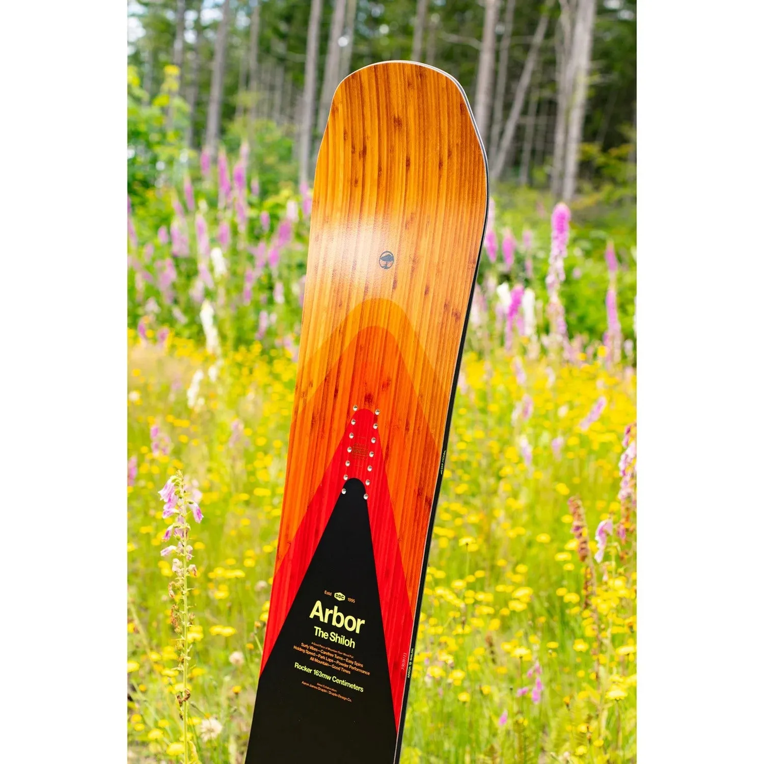 Arbor Shiloh Rocker 2024 - Men's Snowboard