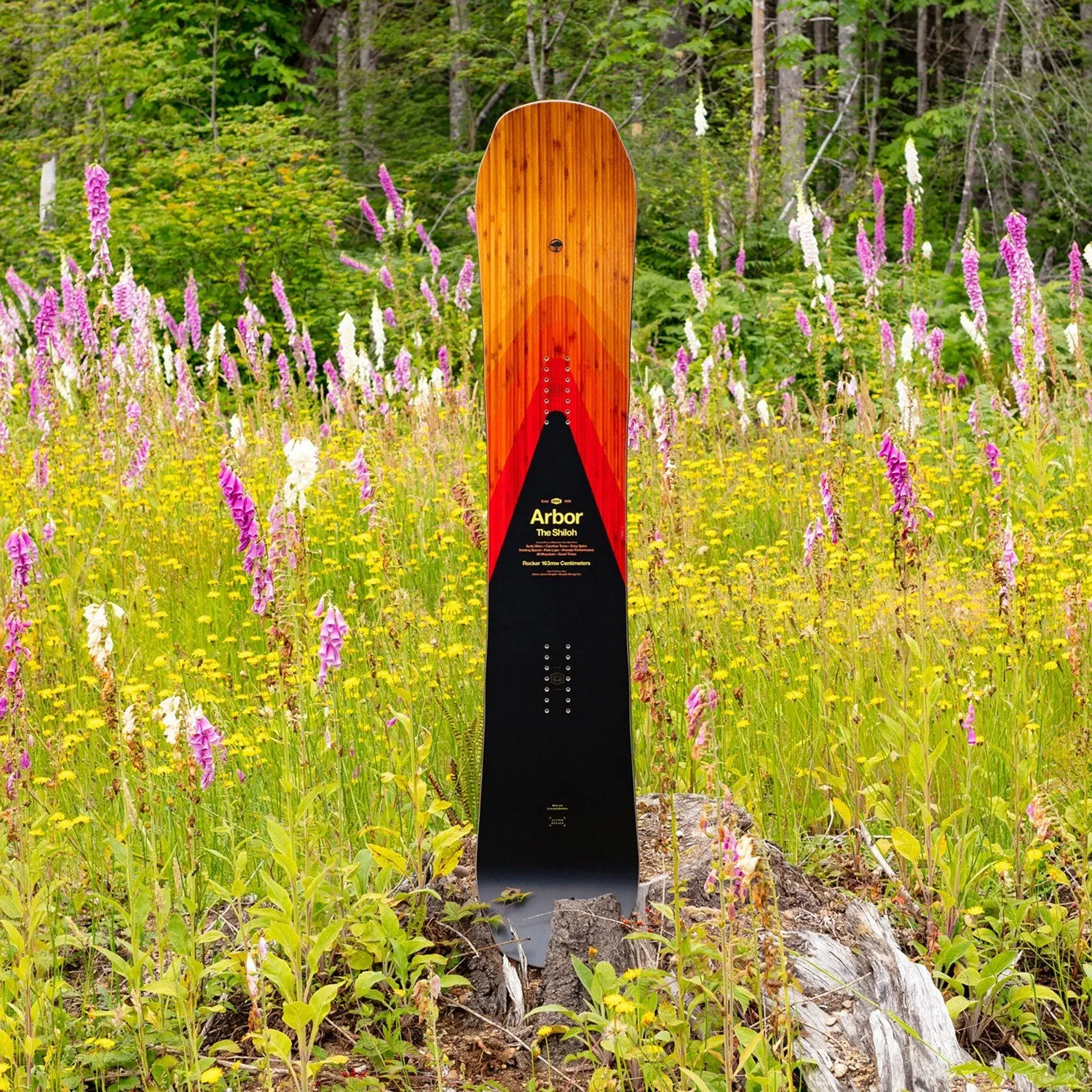 Arbor Shiloh Rocker 2024 - Men's Snowboard
