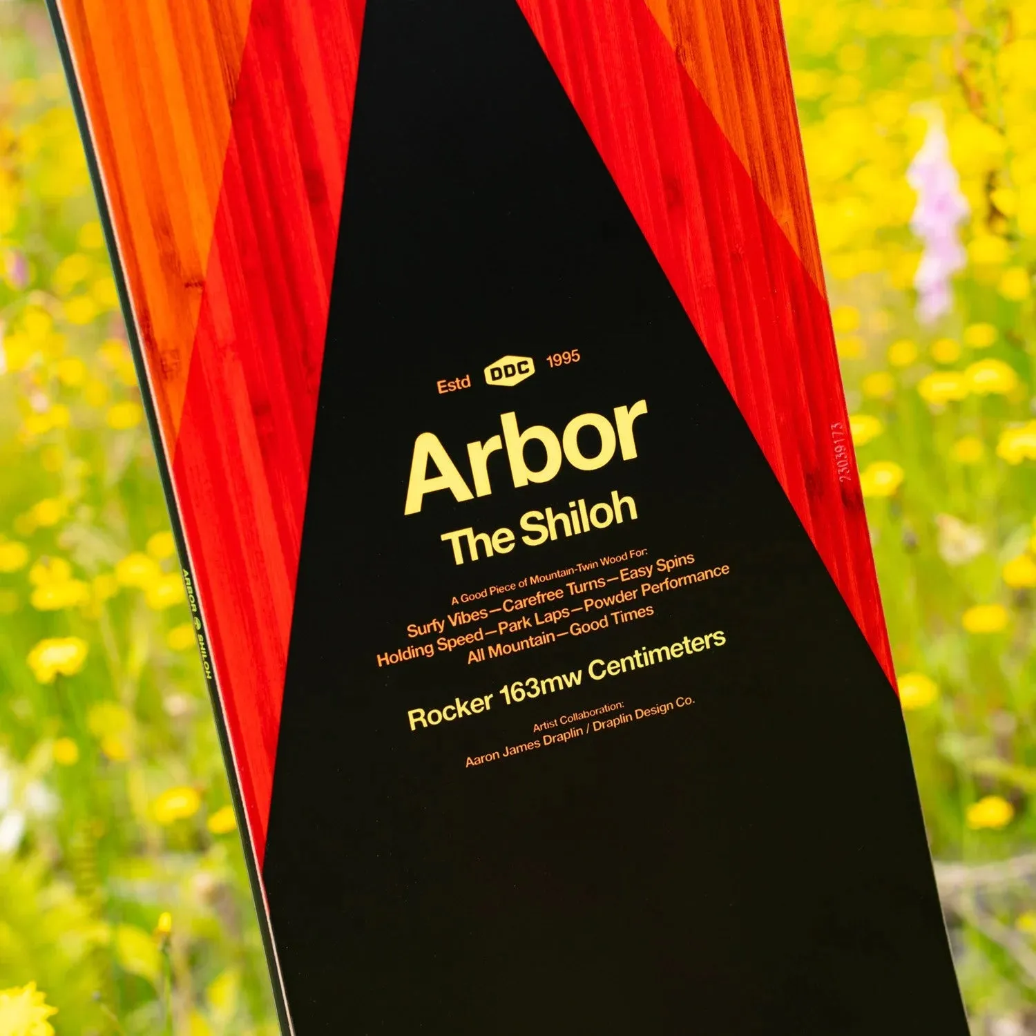 Arbor Shiloh Rocker 2024 - Men's Snowboard